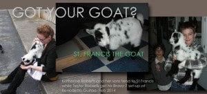 Taylor Roberts pet goat St Francis Feb 2014