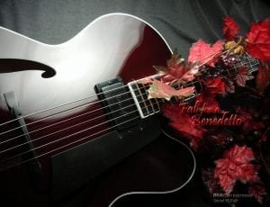 Benedetto Bravo S2141 Fall for a Benedetto