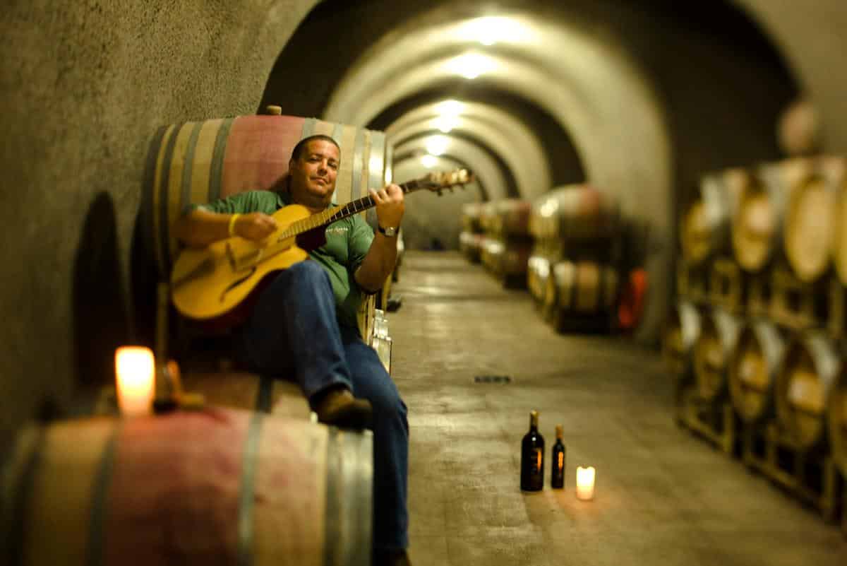 The Harmony of Wine and Music