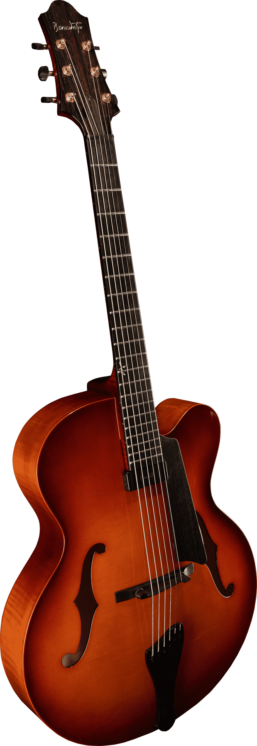 La Venezia Guitar Model