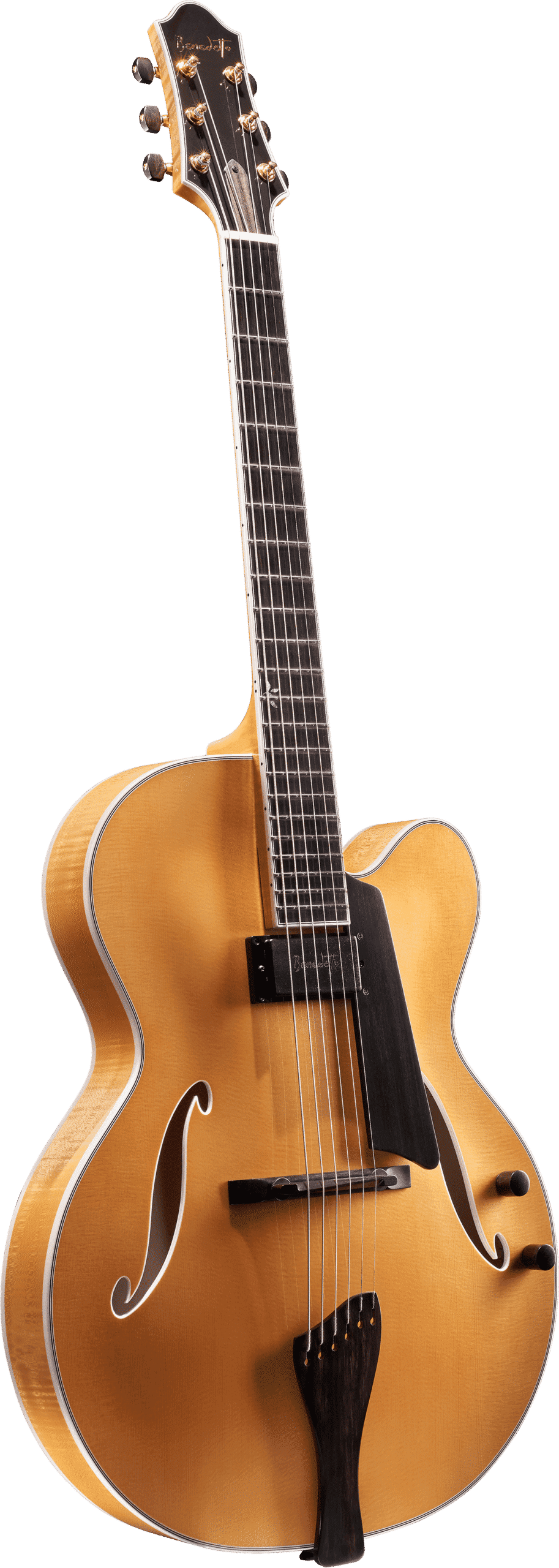 Bravo Deluxe Guitar Model