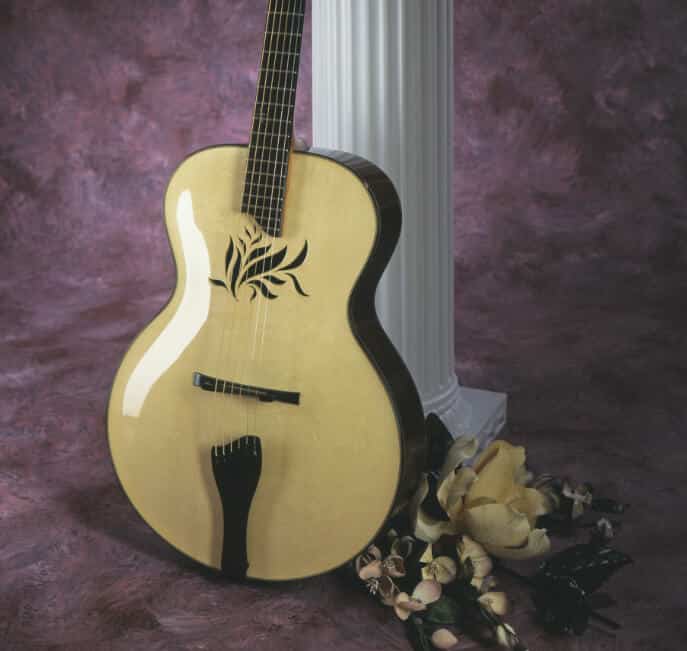 Custom Benedetto Guitar