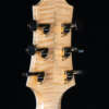 Headstock, back