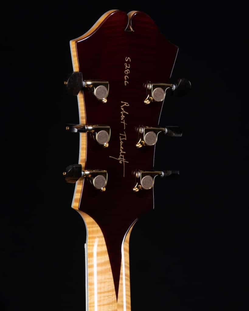 Close up, headstock, back