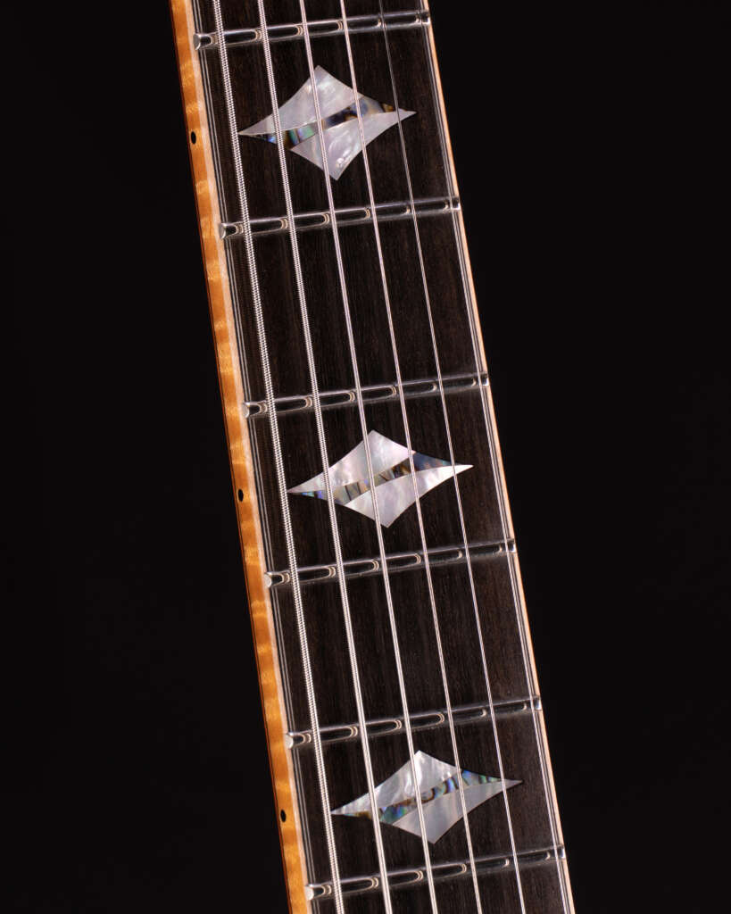 Fretboard inlay detail