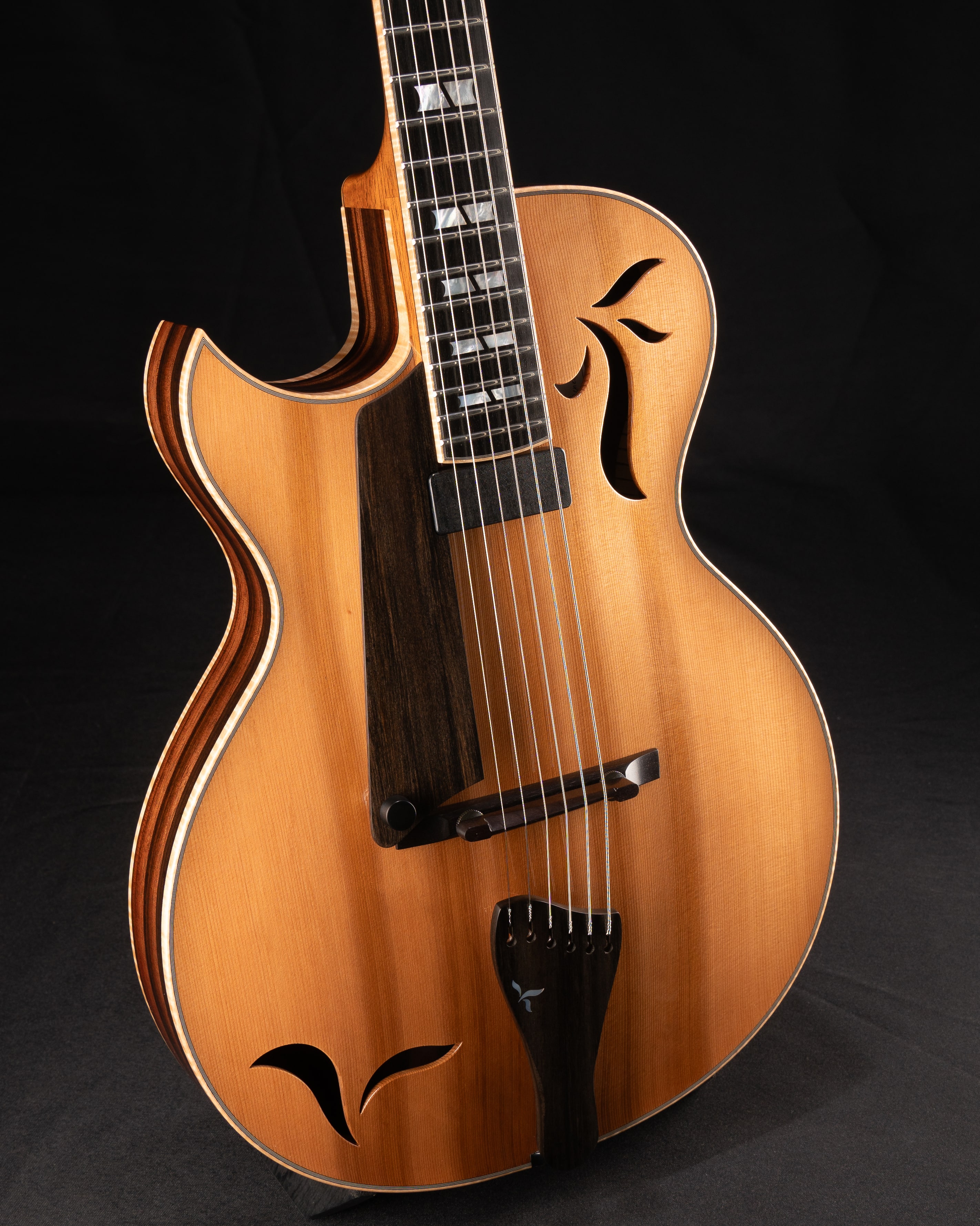 Close up guitar, front