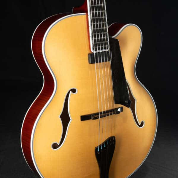 Why Professional Jazz Guitarists Choose Benedetto