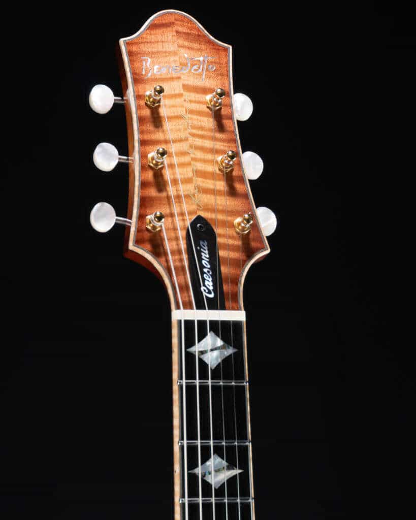 Close up headstock, front