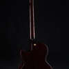 Full guitar, back