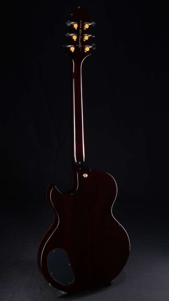 Full guitar, back