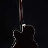 Full guitar, back