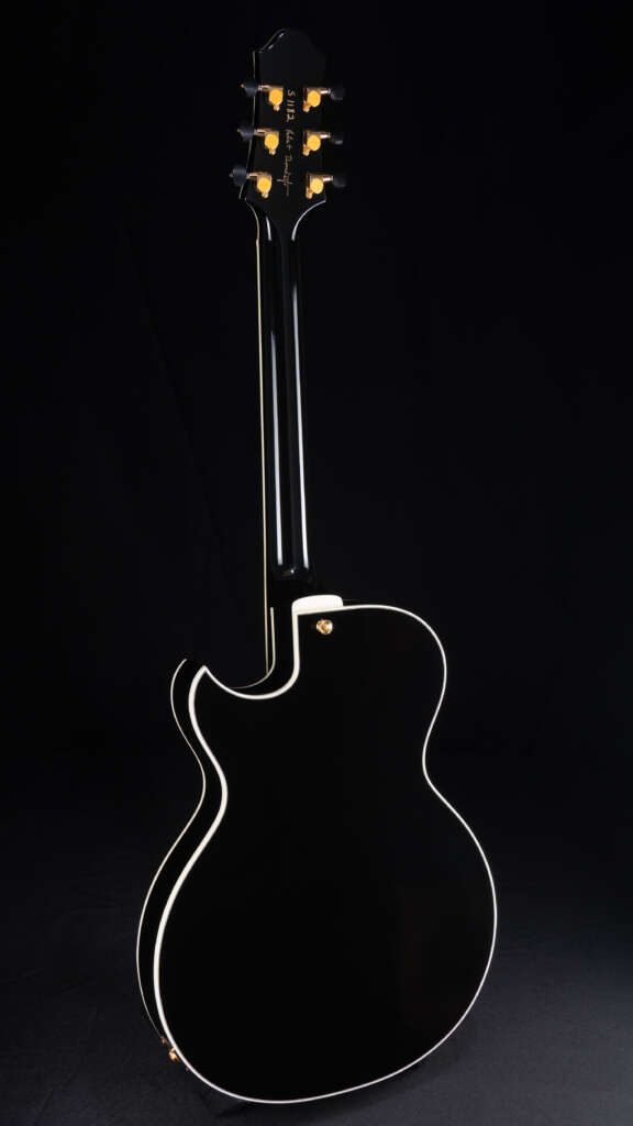 Full guitar, back