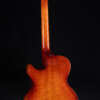 Full guitar, back