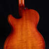 Close up guitar, back