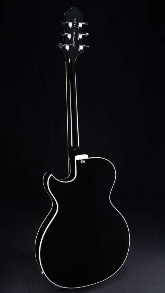Full guitar, back
