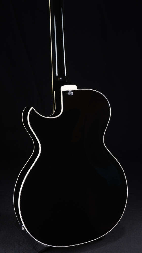 Close up guitar, back