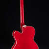 Full guitar, back