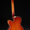 Full guitar, back