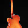 Full guitar, back