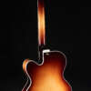 Full guitar, back