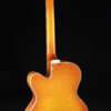 Full guitar, back