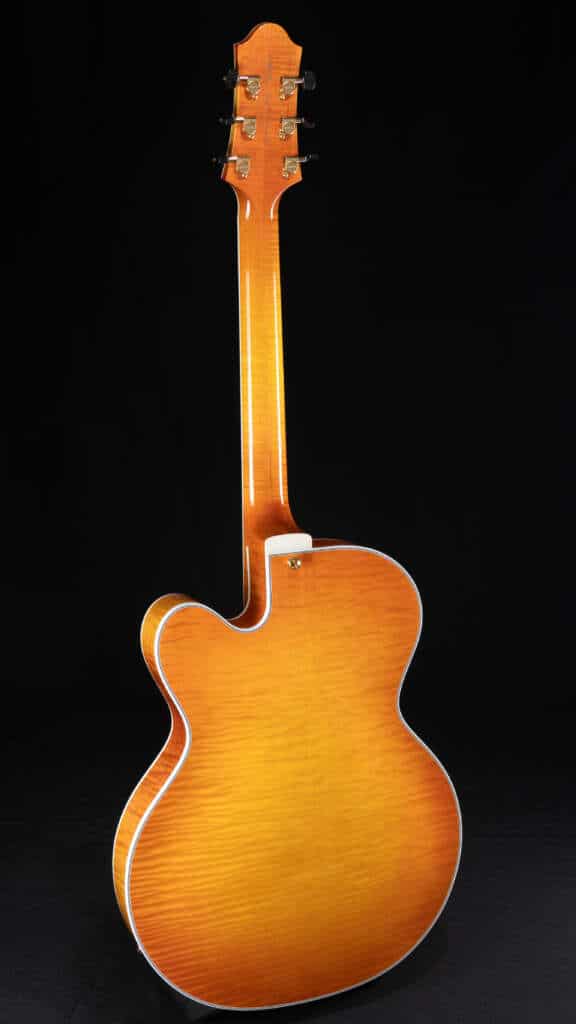 Full guitar, back