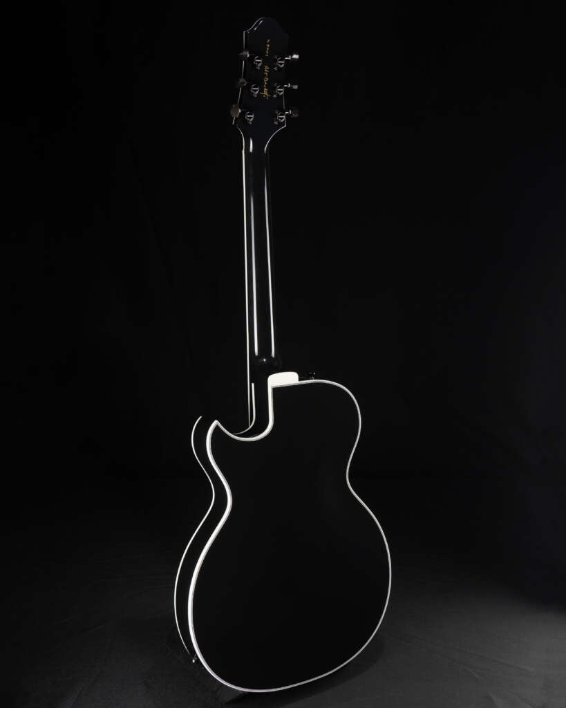 Full guitar, back