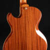 Close up guitar, back
