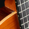 Close up floral inlay