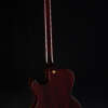 Full guitar, back