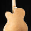 Close up guitar, back