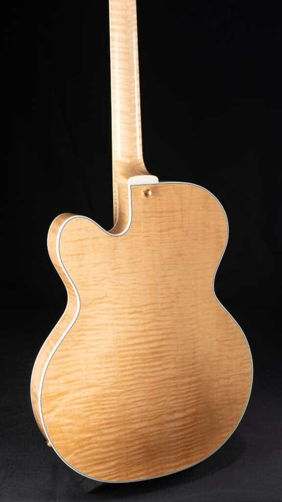Close up guitar, back