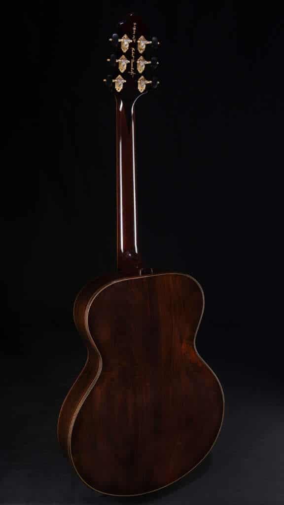 Full guitar, back