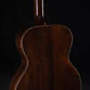 Close up guitar, back