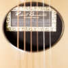 Close up of tag through soundhole