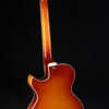 Full guitar, back