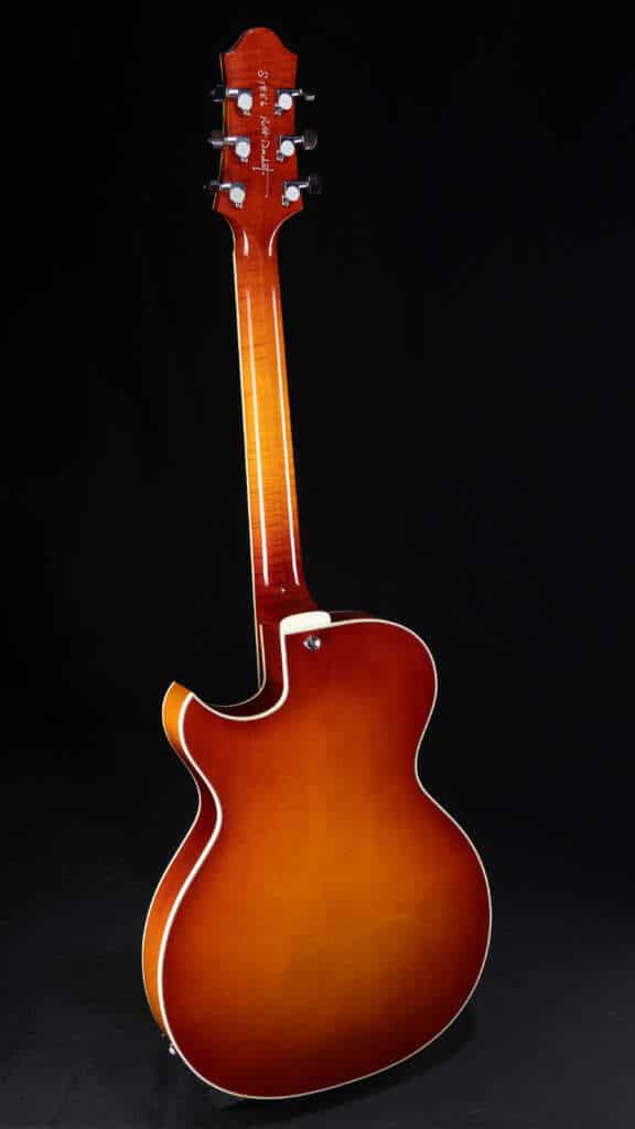 Full guitar, back