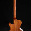 Full guitar, back