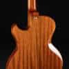 Close up guitar, back