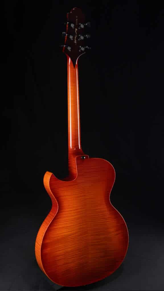 Full Guitar, back