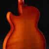 Close up guitar, back