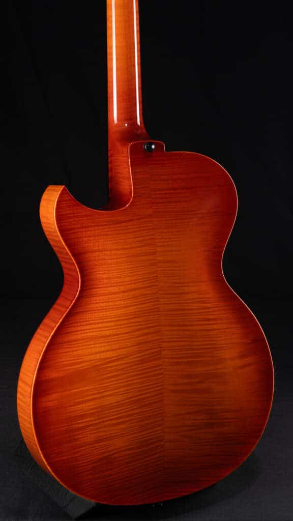 Close up guitar, back