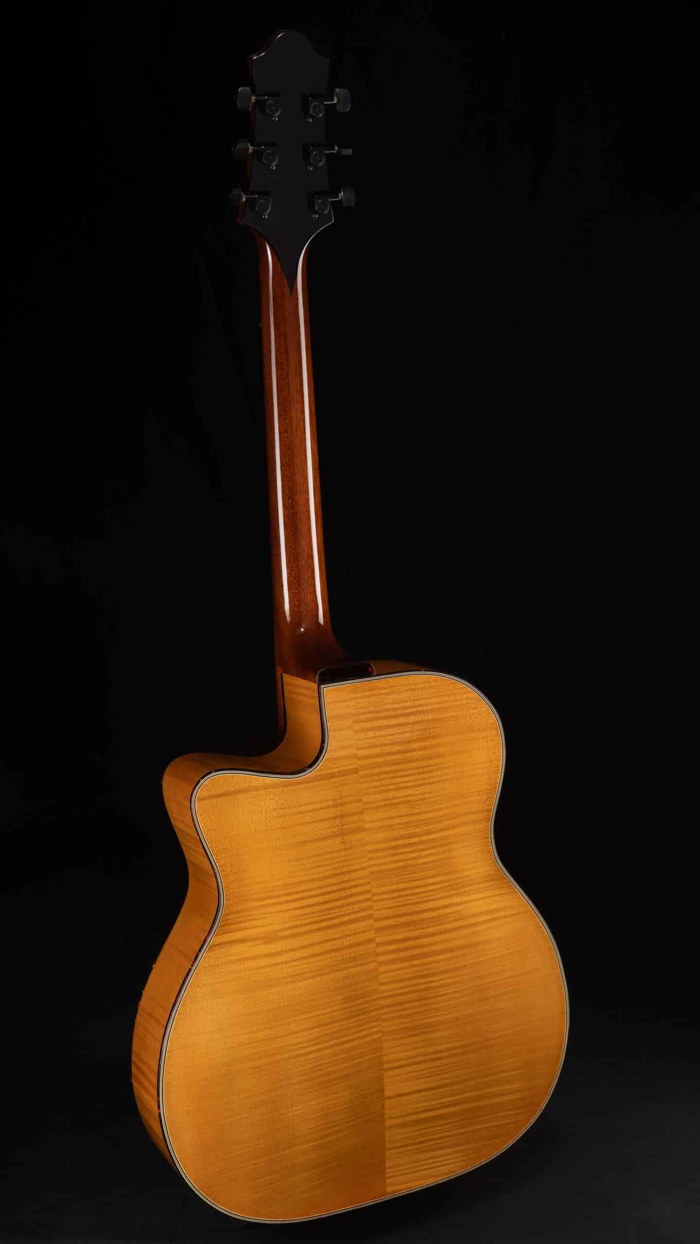 WEB 47503 02 Full guitar, back