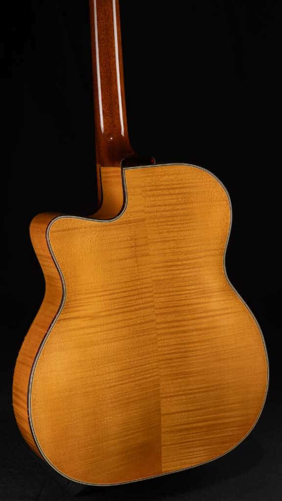 Close up guitar, back