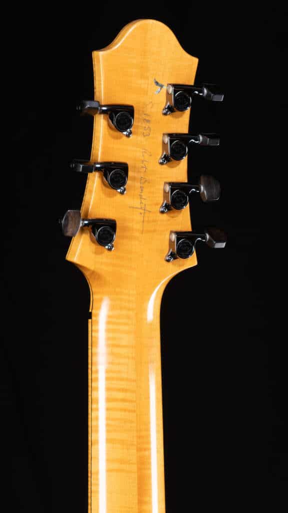 Close up headstock, back