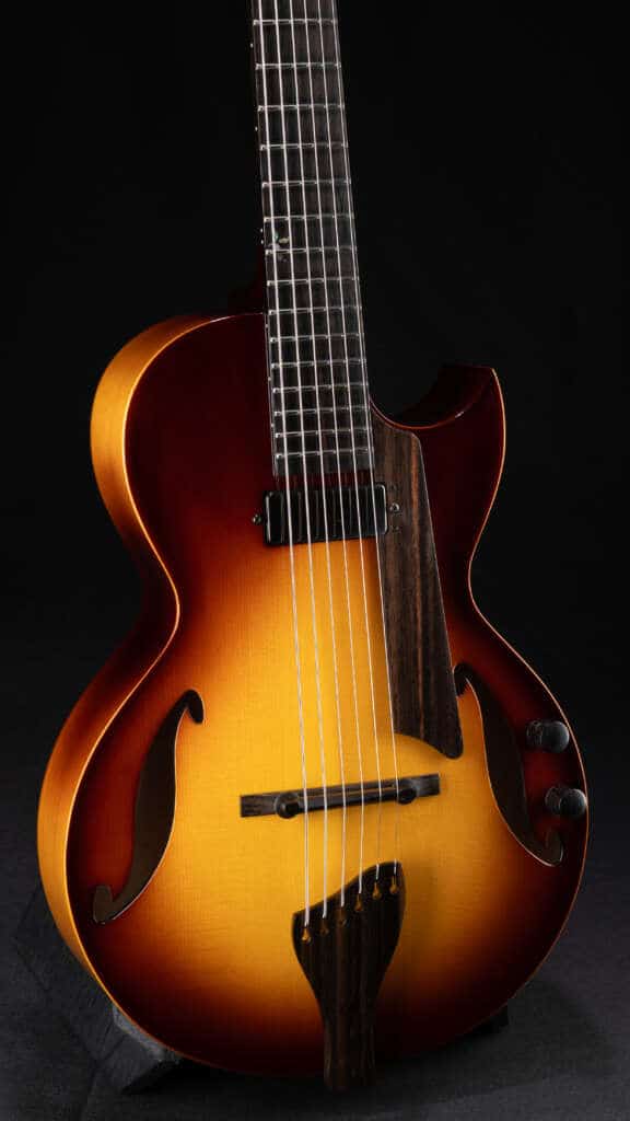 Close up guitar, back