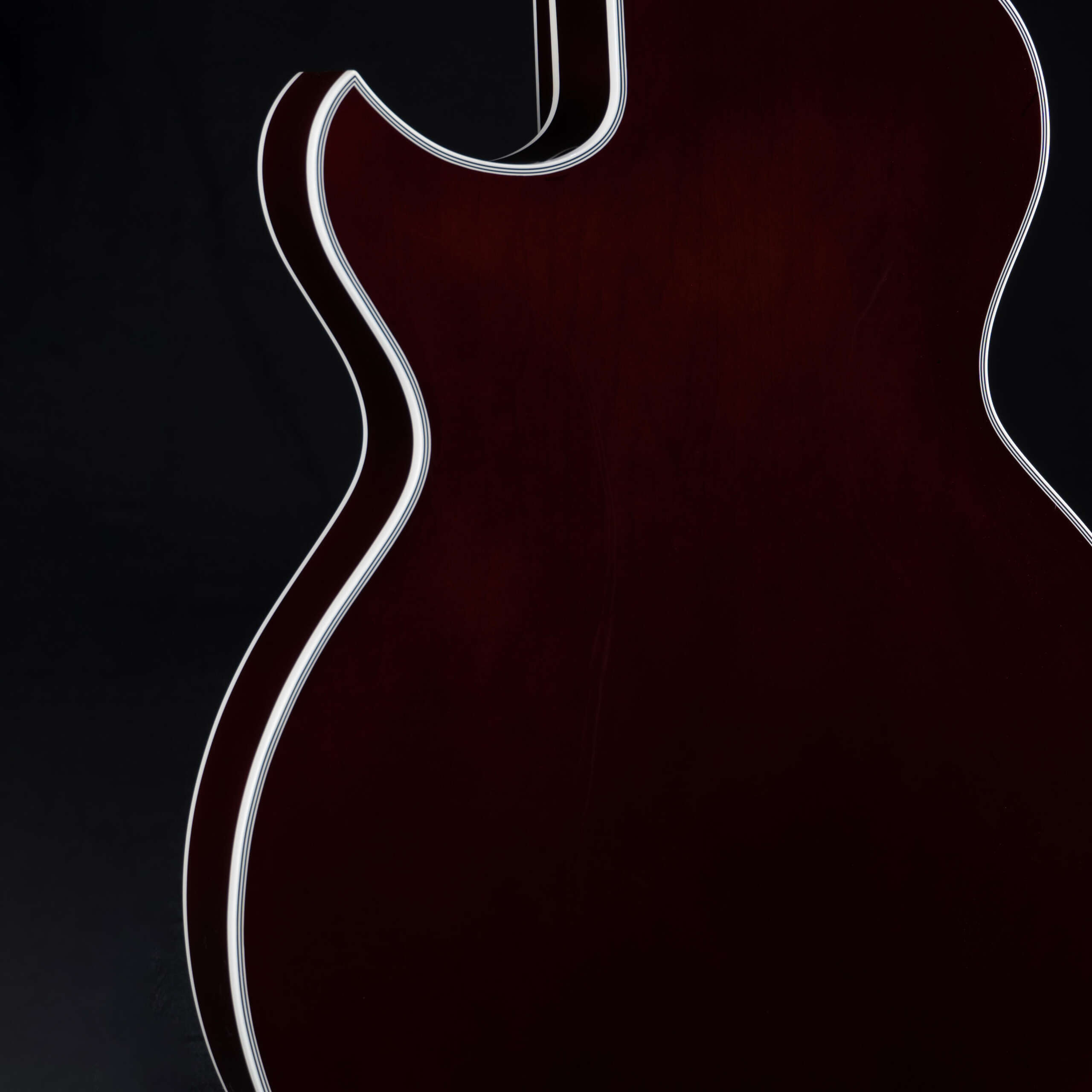 The Anatomy of Tone: How Archtop Guitar Materials Affect Sound and Projection