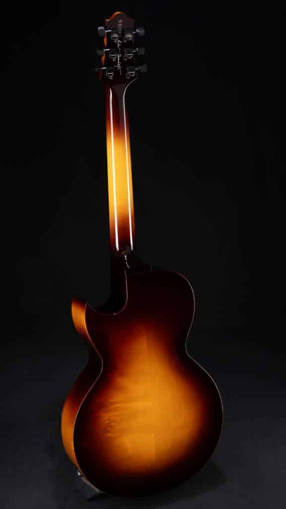 Full guitar, back