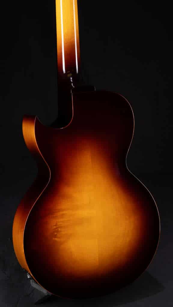Close up guitar, back