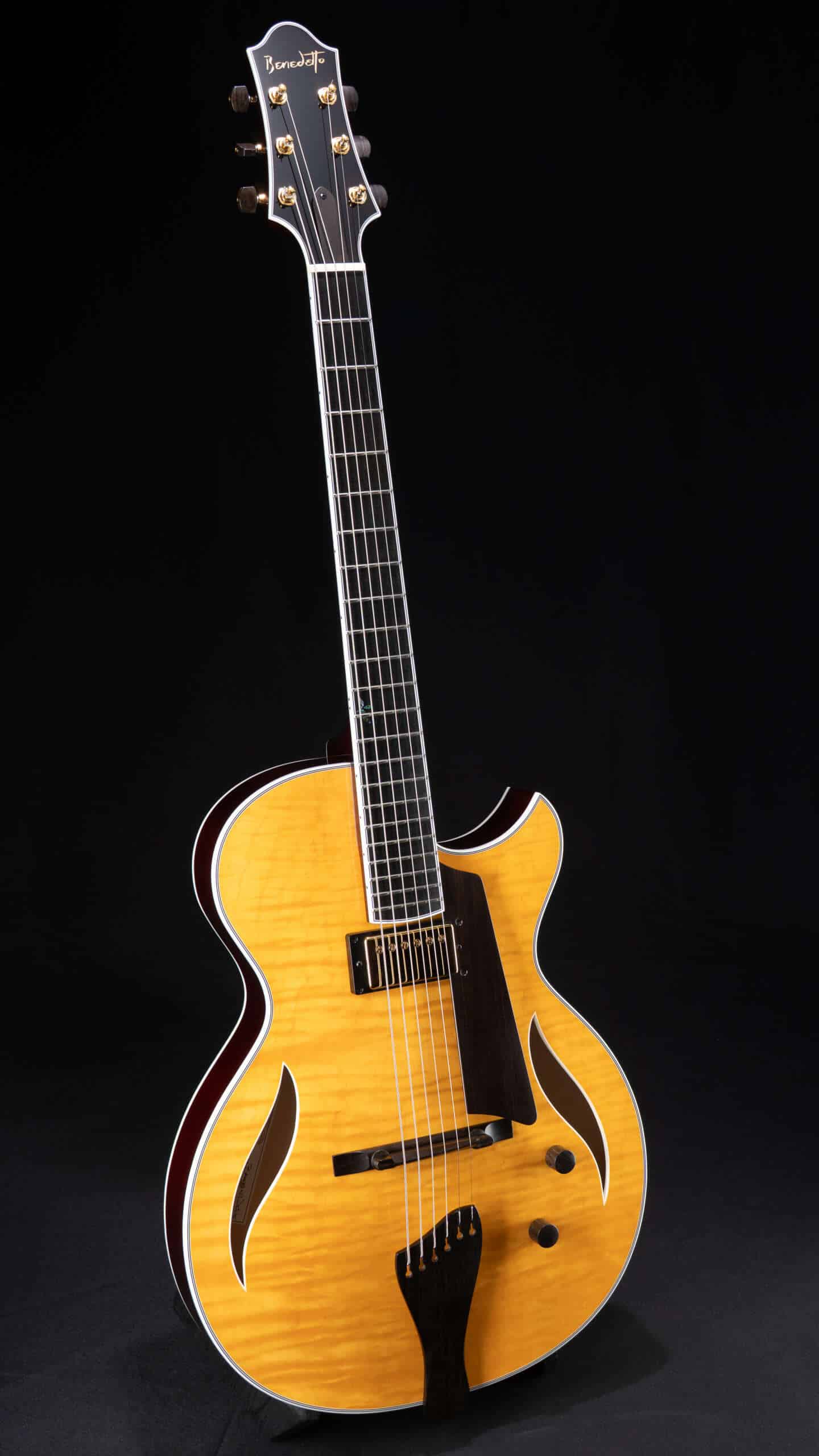 Full guitar, front